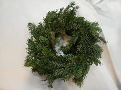 Guirlanda verde circular com ramos de folhas finas e longas sobre fundo branco