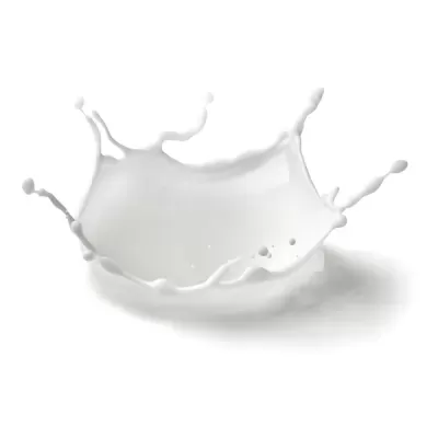 Kéfir Puro de Ovelha