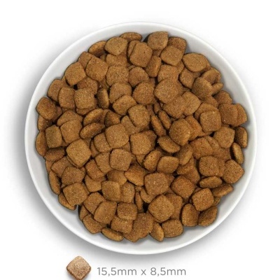 AMANOVA Adult Mobility Fish Delicacy