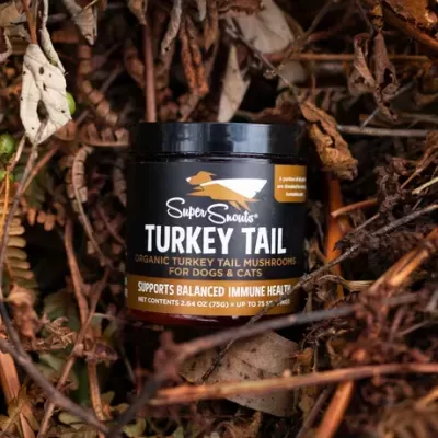 Super Snouts Turkey Tail