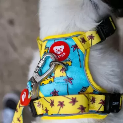 DUKIER Peitoral Trail CALIFORNIA