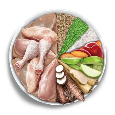 AMANOVA Adult Medium Exquisite Chicken