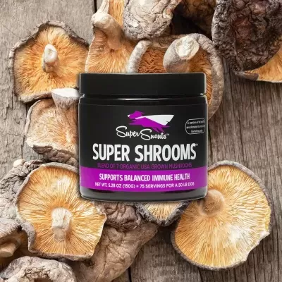 Super Snouts Super Shrooms