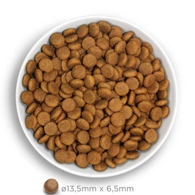 AMANOVA Adult Medium Exquisite Chicken