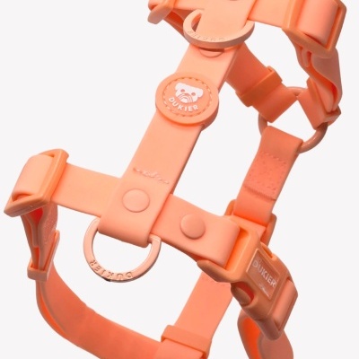 DUKIER Arnês Clássico Impermeável CORAL