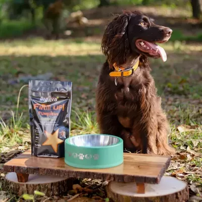 Firm Up! Pumpkin Regulador Gastrointestinal