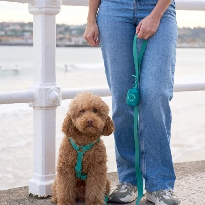 DUKIER Arnês Clássico Impermeável GREEN