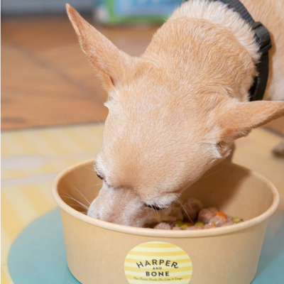 Harper and Bone Dog Almôndegas Wild Mountain