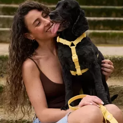 DUKIER Arnês Clássico Impermeável YELLOW