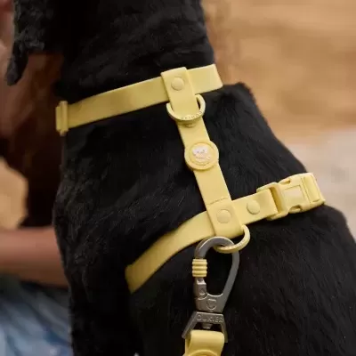 DUKIER Arnês Clássico Impermeável YELLOW