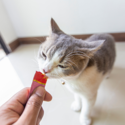 Churu Cat Sortido de Atum (Pack 60 uni.)