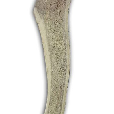 Haste de Veado Aberta