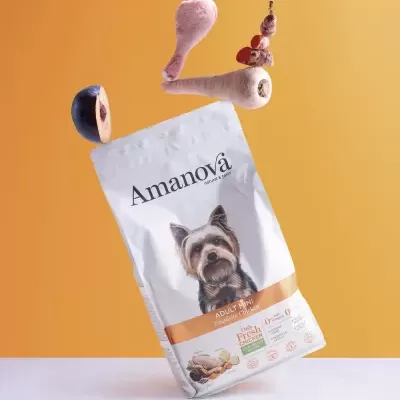AMANOVA Adult Mini Exquisite Chicken