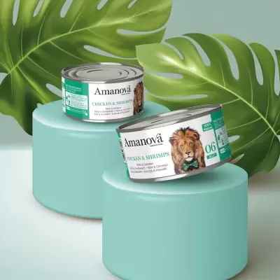 Amanova Frango & Camarão