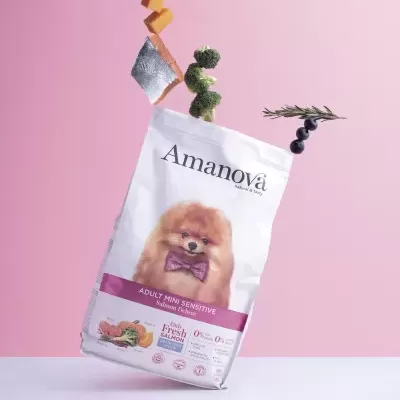 AMANOVA Grain Free Mini Sensitive Salmon Deluxe