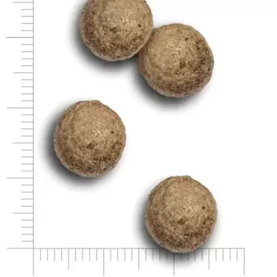 AMANOVA Adult Mini Exquisite Chicken