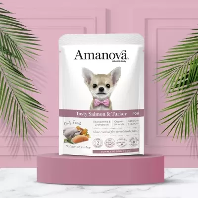 Embalagem de ração para cães Amanova sabor salmão e peru sobre suporte rosa com fundo rosa e folhas verdes.