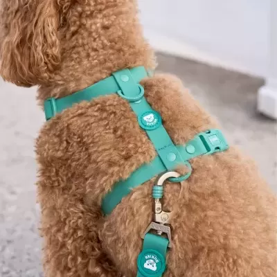 DUKIER Arnês Clássico Impermeável GREEN