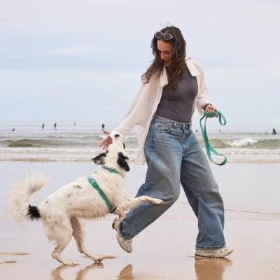 DUKIER Arnês Clássico Impermeável GREEN