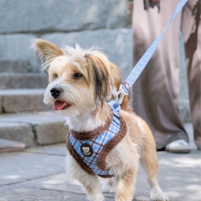 DUKIER Peitoral Ajustável Blue Mocca