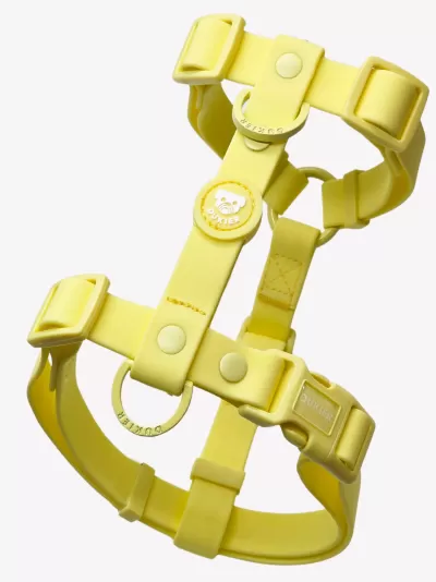 DUKIER Arnês Clássico Impermeável YELLOW