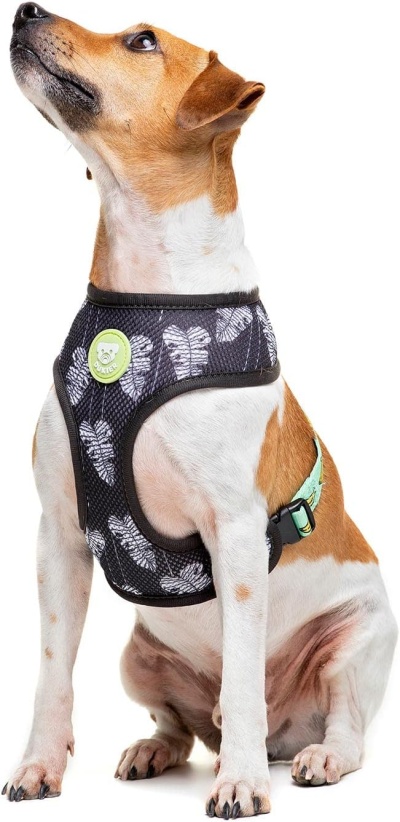 Peitoral Reversível BANANA (XS)