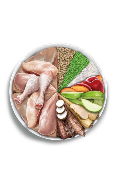 AMANOVA Puppy Large Exquisite Chicken (12kg)