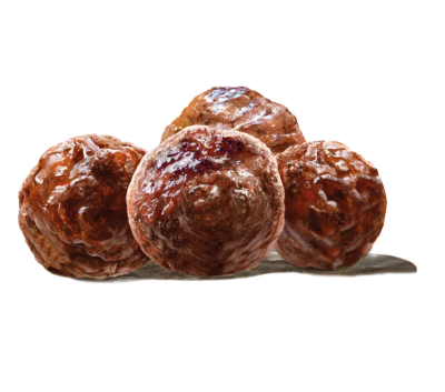 Harper and Bone Dog Almôndegas Ocean Wonders