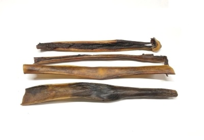 Pele de Camelo Grande (40cm)