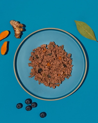 Prato azul com comida granulado castanho com pedaços alaranjados e pretos, em superfície azul, com folha verde, curcuma e mirtilos ao redor