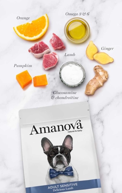 AMANOVA Grain Free Adult Sensitive Delicious Lamb