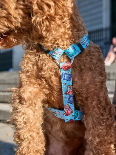 DUKIER Arnês Clássico DUKITRIP