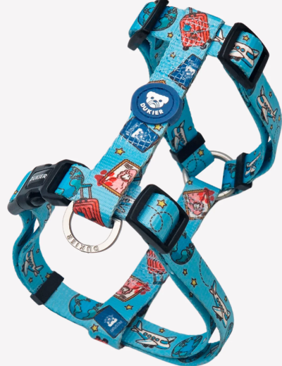 DUKIER Arnês Clássico DUKITRIP