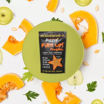 Firm Up! Pumpkin Regulador Gastrointestinal