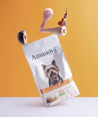 AMANOVA Adult Mini Exquisite Chicken