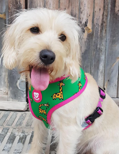 Peitoral Reversível SAVANA (M)