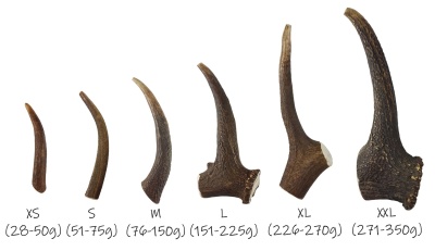 Haste de Veado Inteira