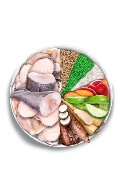 AMANOVA Adult Mobility Fish Delicacy