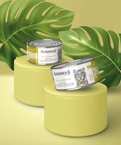 Amanova Atum & Camarão