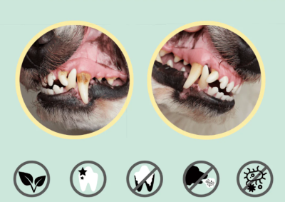 Enzymodent Pasta de Dentes Enzimática p/ Cães (75ml)