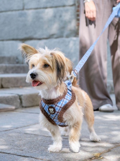 DUKIER Peitoral Ajustável Blue Mocca