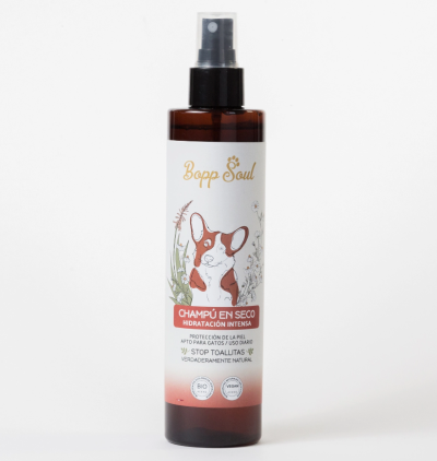 Bopp Soul Champô Seco