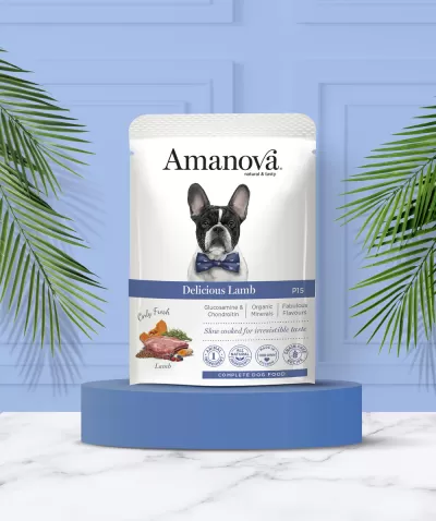 Saco Amanova comida para cães Delicious Lamb com cão e laço azul em pedestal azul.