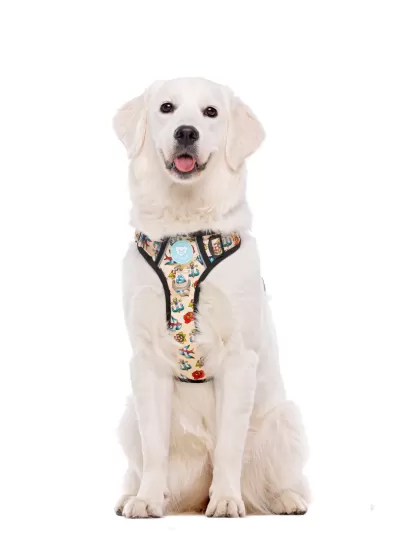 DUKIER Peitoral Trail TATTOO