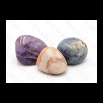 Bolsa Proteção Carro