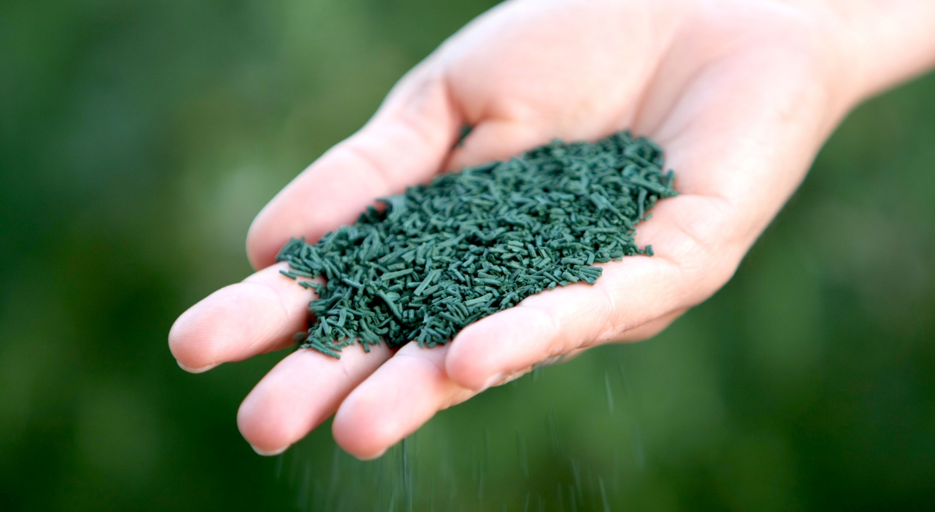 Spirulina Tomar Natural Spirulina Tomar Natural