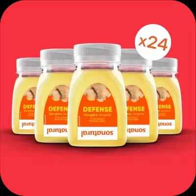 Pack Shot Gengibre Sonatural 125ml