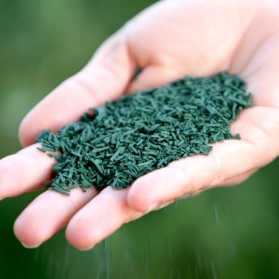 Spirulina Tomar Natural Spirulina Tomar Natural