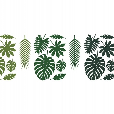 Autocolantes decorativos folhas tropicais verdes em fundo branco