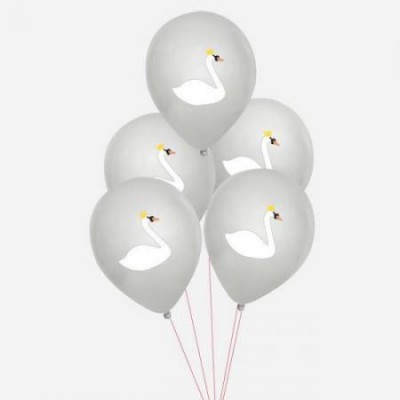 Balões Cisne,pk/5